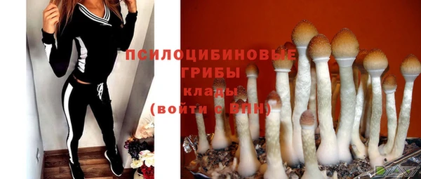 мяу мяу мука Алексин