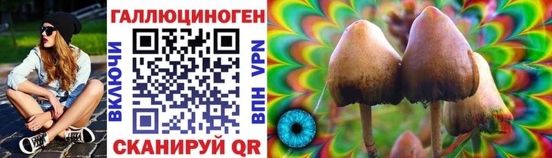 Галлюциногенные грибы Psilocybe Звенигово