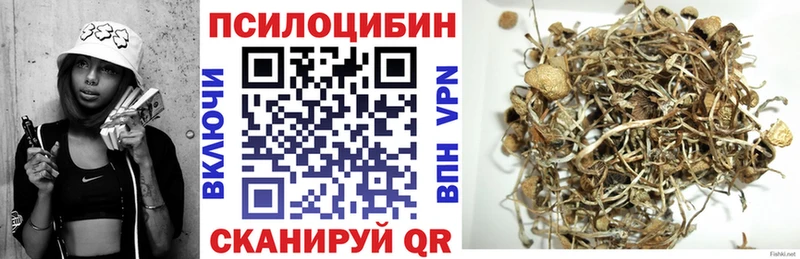 Галлюциногенные грибы Psilocybine cubensis  Звенигово 